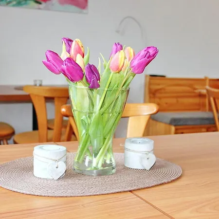 Lägenhet An Der Kamske Dz 1 *